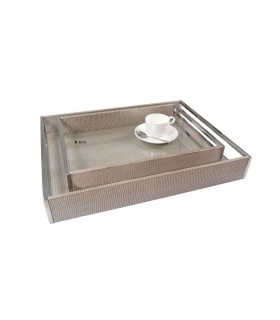 Tray with  handles