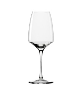 Experience wine glass
