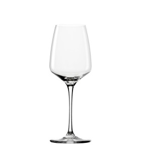 Experience wine glass