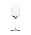 Experience wine glass