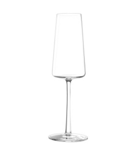 Wine & water power glass