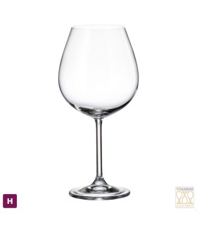 Gastro-Colibri glass